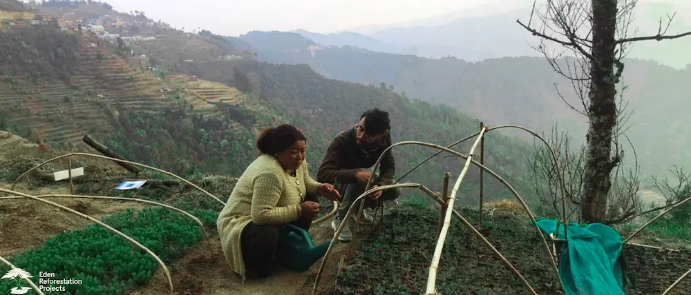 Two people crouched down caring for tree saplings on a hill edge