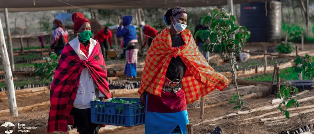 Two women carying a blue basket in a tree nursery