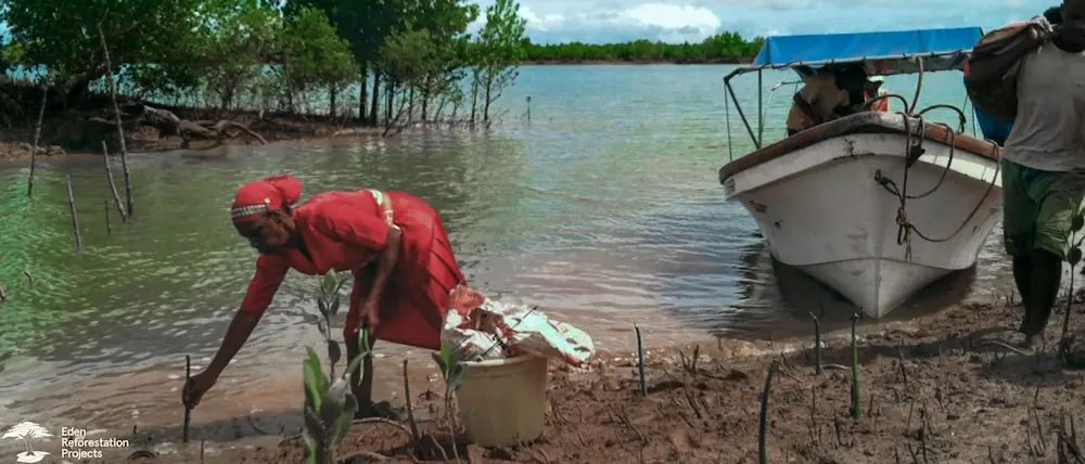 A lady in red planting a tree on a lake edge