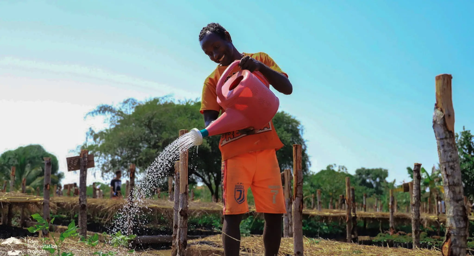 A man watering tree seedlings with a water jug