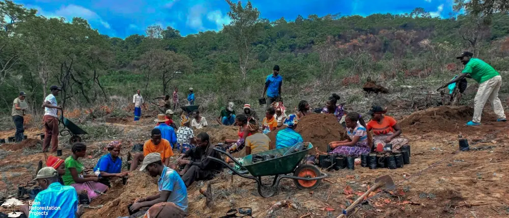 A group of people planting trees