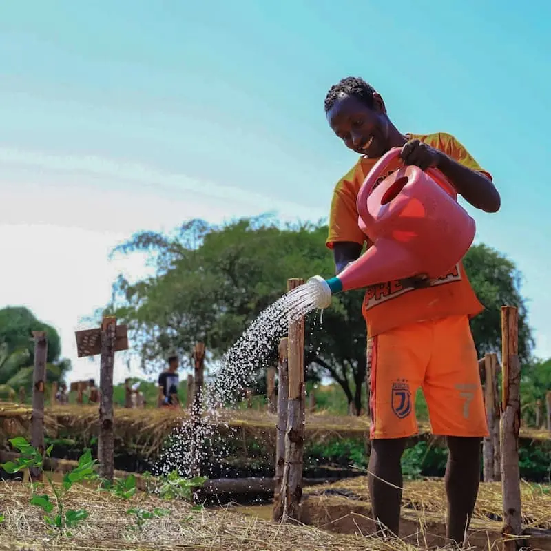 A man watering tree seedlings with a water jug